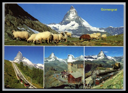Cartolina gornergrat - cartolina,