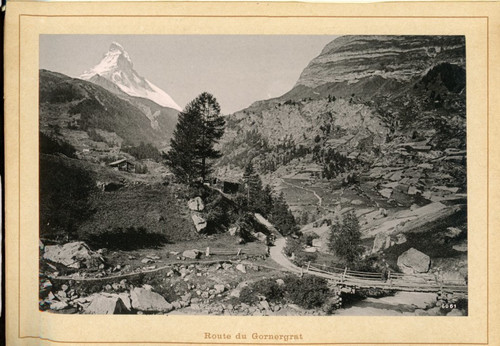Stampa albumina route - stampa, du